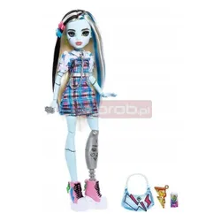 LALKA MONSTER HIGH FRANKIE STEIN DAY OUT HKY73