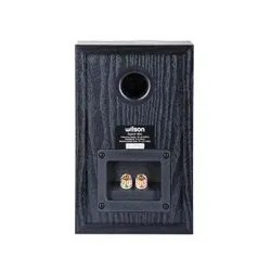 Kolumny Wilson Raptor Mini Czarny 2szt.