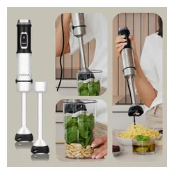 Blender ZEEGMA Handy Chef Versablend