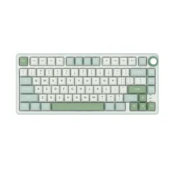 Klawiatura mechaniczna Royal Kludge RK-R75 Sky Cyan Brown Switch Biało-Błękitny