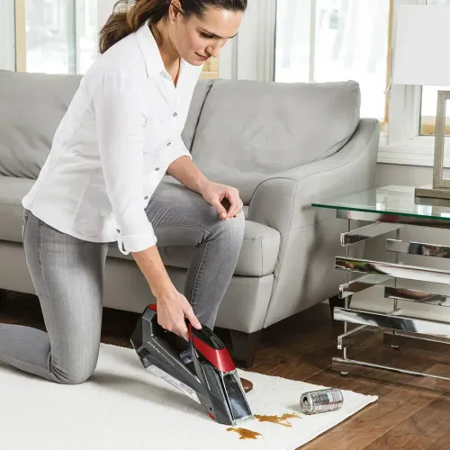 Odkurzacz Bissell Stain Eraser 2005N 450W