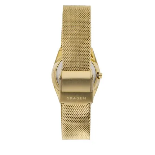 Saat Skagen Grenen Lille Box Set Skw1152set Gold / Silver