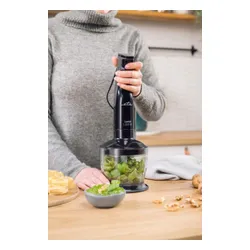 Blender ETA 4w1 Lento 401790000