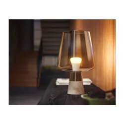 Żarówka LED Philips Hue White A60 E27 2 szt.