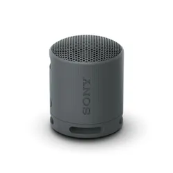 Głośnik Bluetooth Sony SRS-XB100 5W Czarny