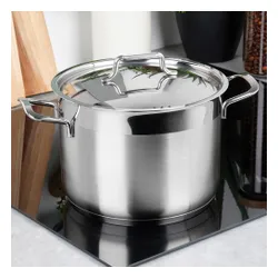 Garnek stalowy z pokrywką ANETT 20 cm, 4,6 l