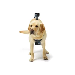 Kamera GoPro Hero 13 - black