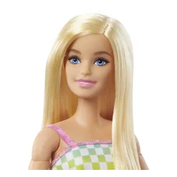 Lalka Barbie Fashionistas Na wózku strój w kratkę HJT13