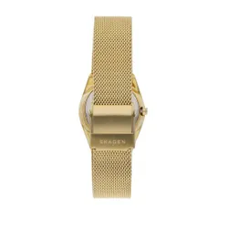 Saat Skagen Grenen Lille Box Set Skw1152set Gold / Silver