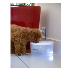 Fontanna dla zwierząt PETIGIO Peti-to-Drink PETI-152