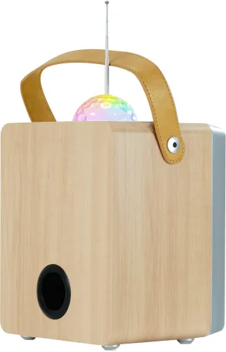 Power Audio Musicmate MM-SK100 Apex Flex 50W Bluetooth Radio FM Brązowy