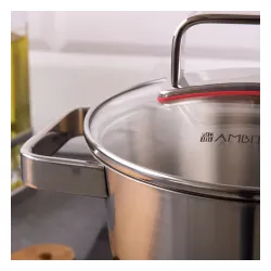 AMBITION Selection 1,6 l - garnek ze stali nierdzewnej z pokrywką