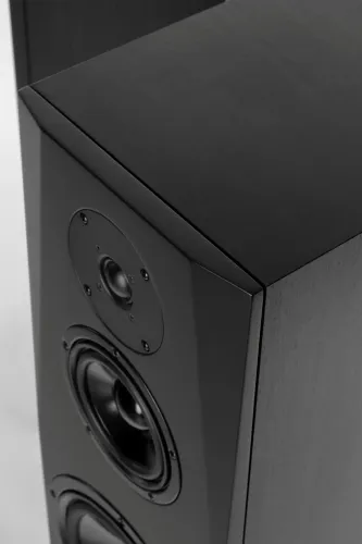 Kolumny Pylon Audio Sapphire 31 Czarny 2szt.