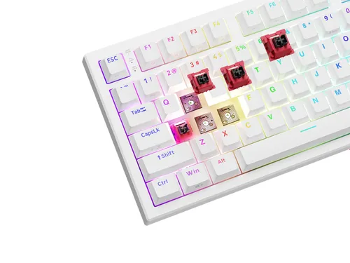 Klawiatura gamingowa Genesis Thor 404 75% GenX Abyssal przewodowa mechaniczna podświetlana biała