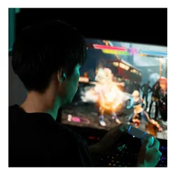 Słuchawki dokanałowe FINAL AUDIO VR3000 Wireless ANC Czarny