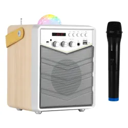 Power Audio Musicmate MM-SK100 Apex Flex 50W Bluetooth Radio FM Brązowy