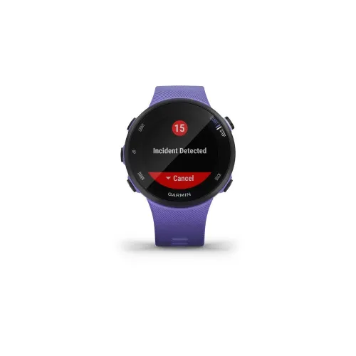 Смарт-часы Garmin Forerunner 45S ирис (010-02156-11)