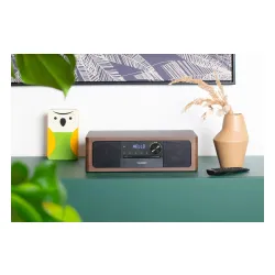 Wieża Blaupunkt MS22BT 50W Bluetooth Radio FM Brązowo-czarny