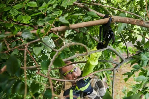 Akumulatorowy sekator Ryobi ONE+ OLP1832BX