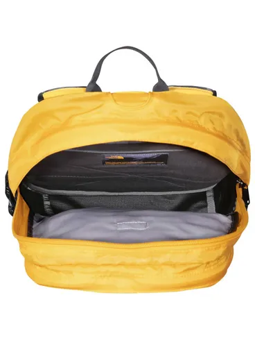 Rucsac Clasic Borealis North Face Nf00cf9czu31 Summit Aur / Tnf Negru