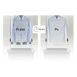 Szafa parowa TEFAL Care For You YT4050E1