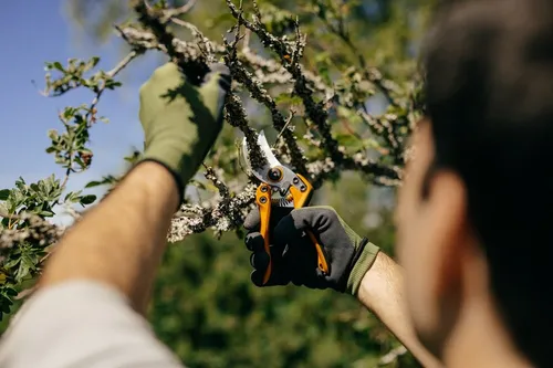 Sekator jednoręczny Fiskars PB-8 M