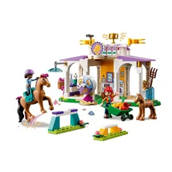 Конструктор LEGO Friends 41746 обучение лошадей