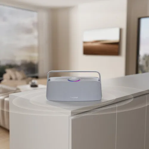 Głośnik mobilny TRONSMART Fiitune X30 Szary