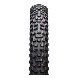 SCHWALBE Hans Dampf Evolution Lastikleri