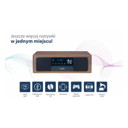 Wieża Blaupunkt MS22BT 50W Bluetooth Radio FM Brązowo-czarny