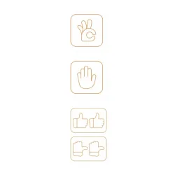 Gimbal Hohem iSteady V2S