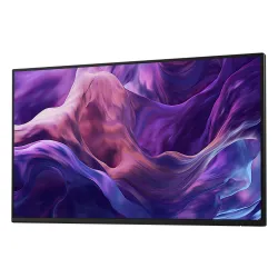 Monitor Dell P2425HE 23,8" Full HD IPS 100Hz 5ms (bez podstawy)