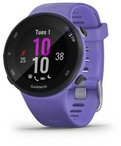 Смарт-часы Garmin Forerunner 45S ирис (010-02156-11)