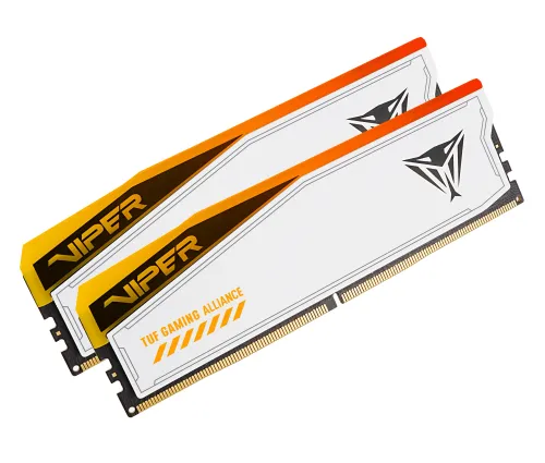 Pamięć RAM Patriot Viper Elite 5 RGB TUF Gaming Alliance DDR5 32GB (2 x 16GB) 6600 CL34 Biały