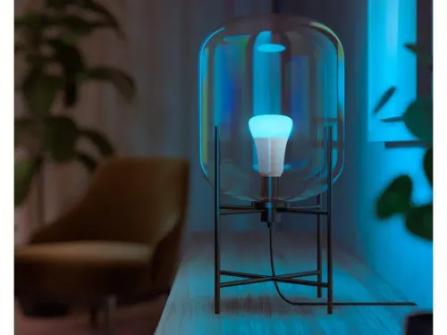 Żarówka LED Philips Hue White and Colour Ambiance E27 2 szt.