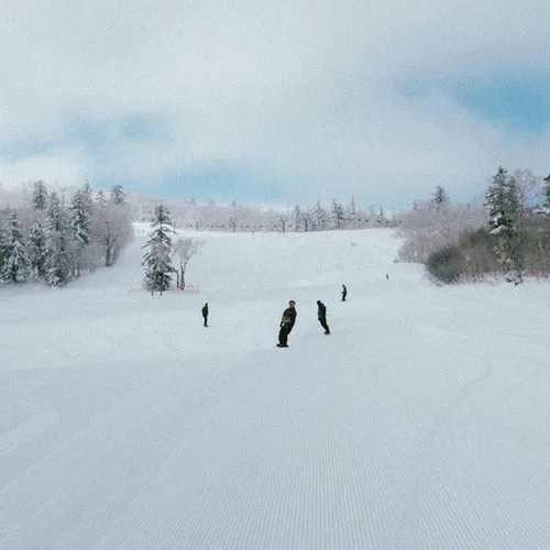 Deska Rome Mechanic 2026