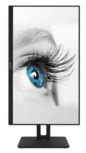MSI PRO MP242AP - 100Hz | Full HD | 24'' | IPS | 1ms [oferta Outlet]