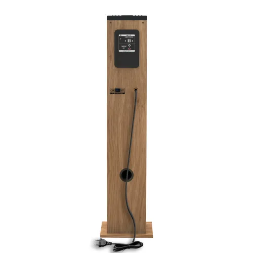 Kolumna Aiwa TSBT-360 Drewno 1szt.