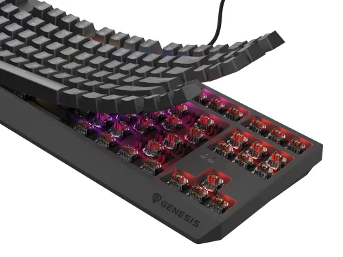 Klawiatura mechaniczna Genesis Thor 230 TKL US RGB Outemu Brown Czarny