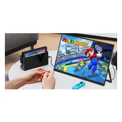 Monitor ZEUSLAP ZP156 15" 1920x1080px IPS 4 ms