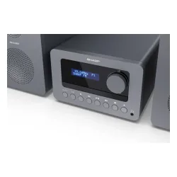 Wieża Sharp TOKYO XL-B514 20W Bluetooth Radio FM Szary