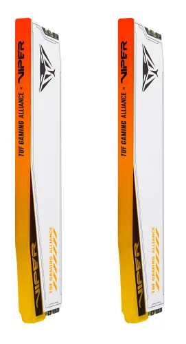Pamięć RAM Patriot Viper Elite 5 RGB TUF Gaming Alliance DDR5 32GB (2 x 16GB) 6000 CL36 Biały