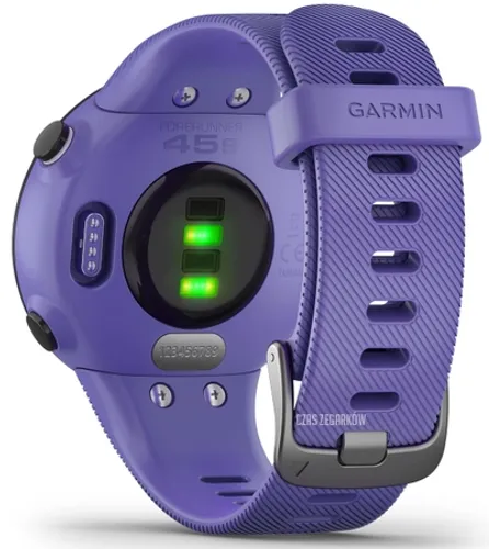 Смарт-часы Garmin Forerunner 45S ирис (010-02156-11)