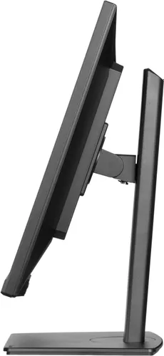 Monitor IIYAMA ProLite XUB3297QSNP-B1 32" 2560x1440px IPS 100Hz 1 ms [MPRT] + Norton Small Business