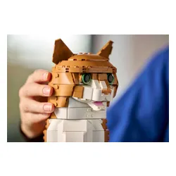 LEGO 21376 Ideas - Rudy kot