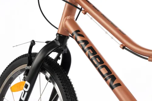 Rower dziecięcy KARBON Superlight 20 cali dla chłopca Miedziany
