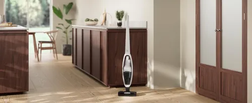 Пылесос Electrolux ES52CB18SH 45мин