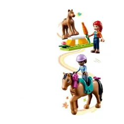 Конструктор LEGO Friends 41746 обучение лошадей