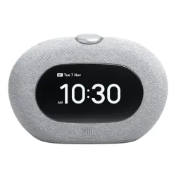 Głośnik Bluetooth JBL Horizon 3 10W Szary