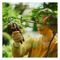 Sekator nożycowy L Fiskars X-series P961